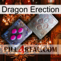 Dragon Erection 38